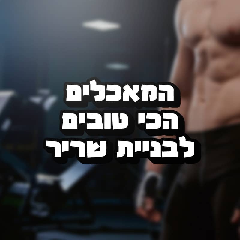 Read more about the article המאכלים הכי טובים לבניית שריר