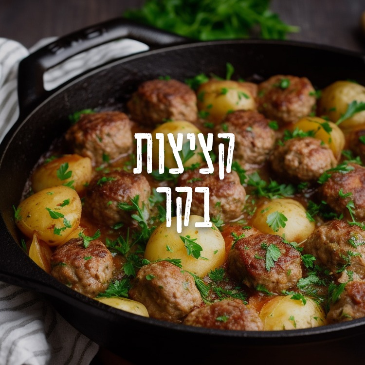 Read more about the article קציצות בקר